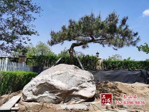 庭院擺放草莓视频导航下载有什麽講究